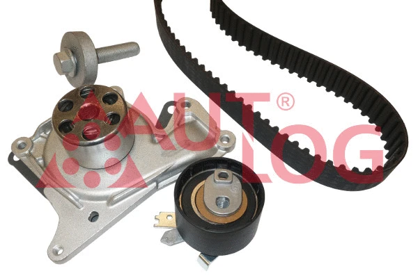 Water Pump & Timing Belt Kit (WK3100)