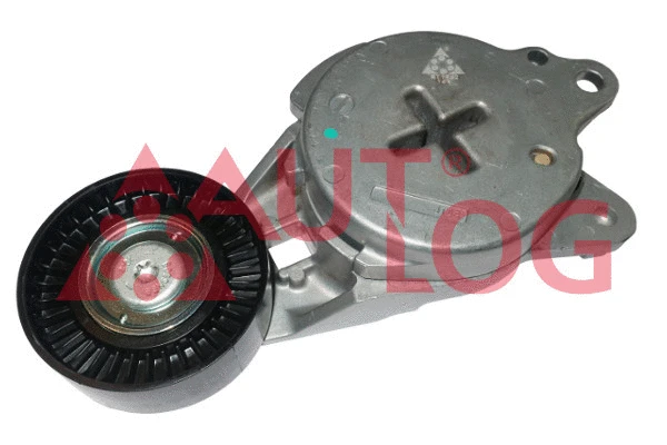 Tensioner Lever, V-ribbed belt (RT1962)