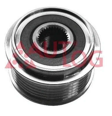Alternator Freewheel Clutch (RT5008)