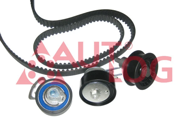 Timing Belt Kit (ZK1099)
