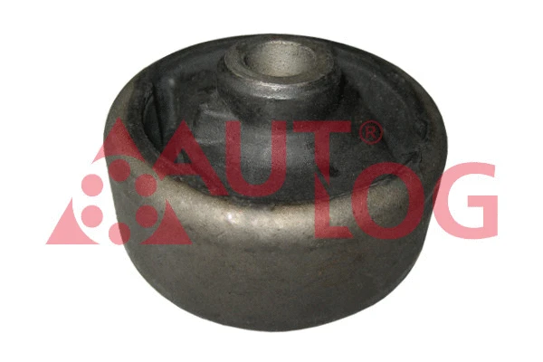 Mounting, control/trailing arm (FT1999)