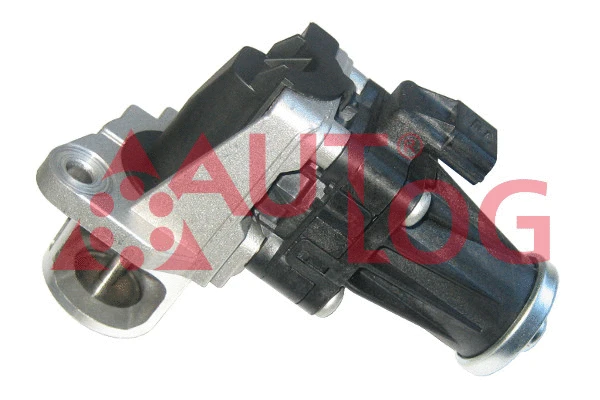 EGR Valve (AV6077)