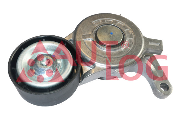 Tensioner Lever, V-ribbed belt (RT1984)