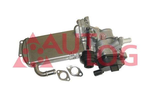EGR Valve (AV6119)
