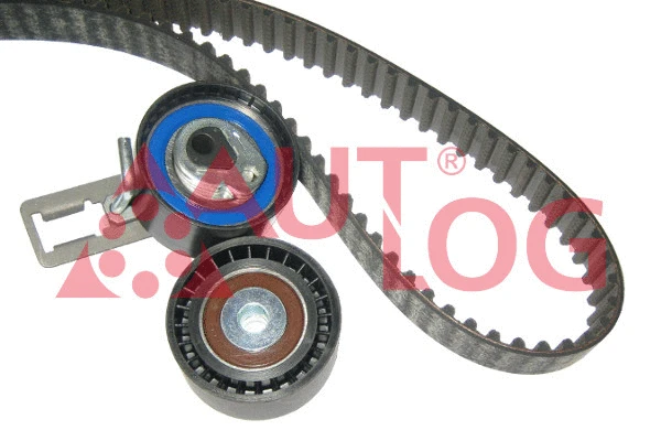 Timing Belt Kit (ZK1117)