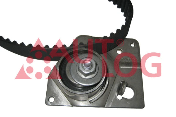 Timing Belt Kit (ZK1107)