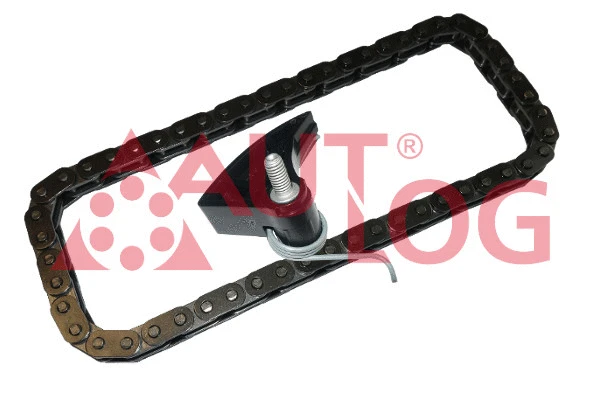 Chain Kit, oil pump drive (KT1011)