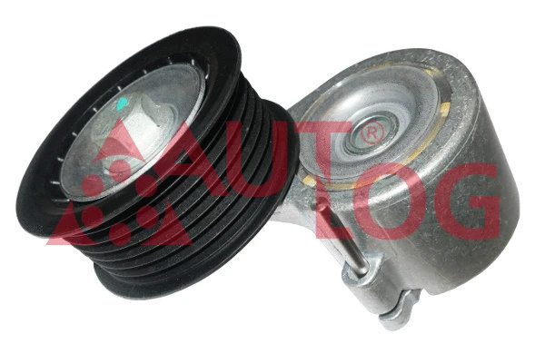 Tensioner Lever, V-ribbed belt (RT1967)