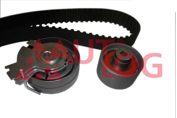 Timing Belt Kit (ZK1080)