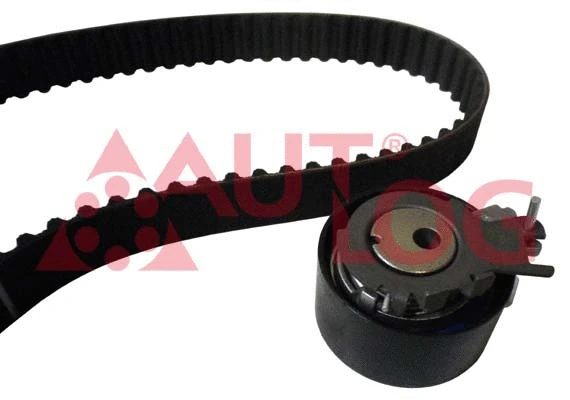 Timing Belt Kit (ZK1079)