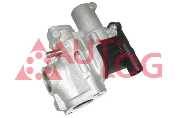 EGR Valve (AV6118)