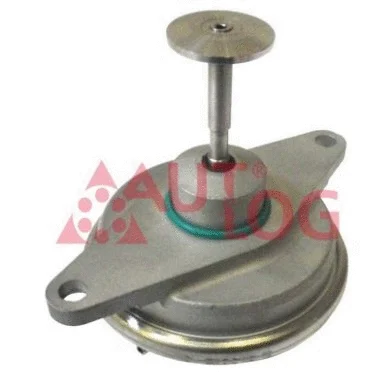 EGR Valve (AV6019)