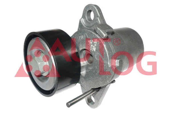 Tensioner Lever, V-ribbed belt (RT1966)