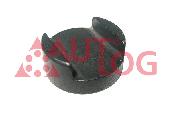 Thrust Piece, intake/exhaust valve (NZ5005)
