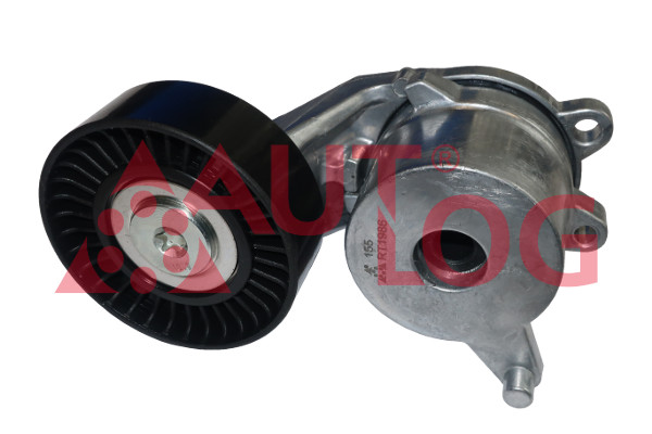 Tensioner Lever, V-ribbed belt (RT1986)