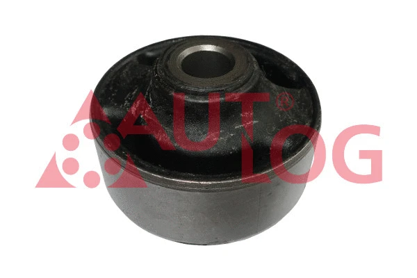 Mounting, control/trailing arm (FT2342)