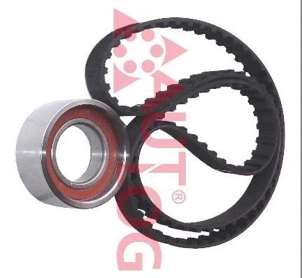 Timing Belt Kit (ZK1025)