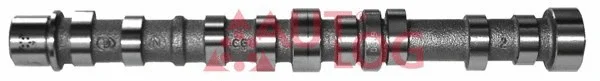 Camshaft (NW5017)