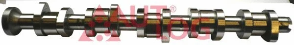 Camshaft (NW5021)