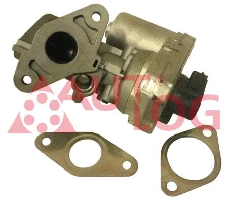 EGR Valve (AV6024)