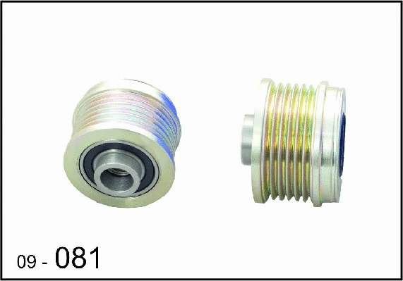 Alternator Freewheel Clutch (09-081)