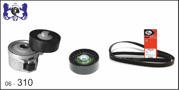 V-Ribbed Belt Set (06-310)