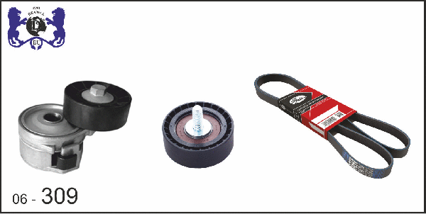V-Ribbed Belt Set (06-309)