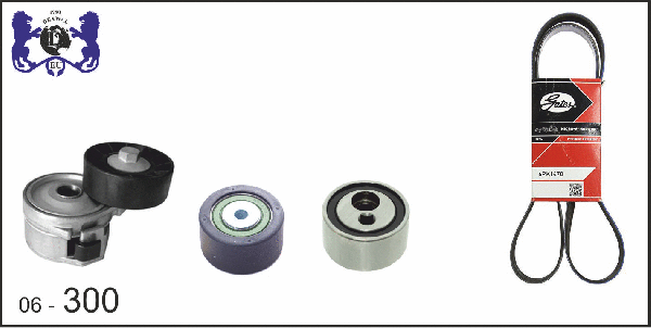 V-Ribbed Belt Set (06-300)