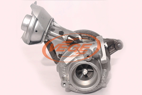 Charger, charging (supercharged/turbocharged) (40061901)