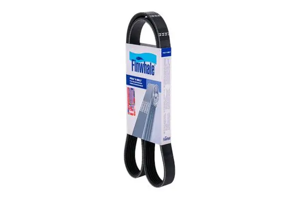 V-Ribbed Belt (BP6PK1203)