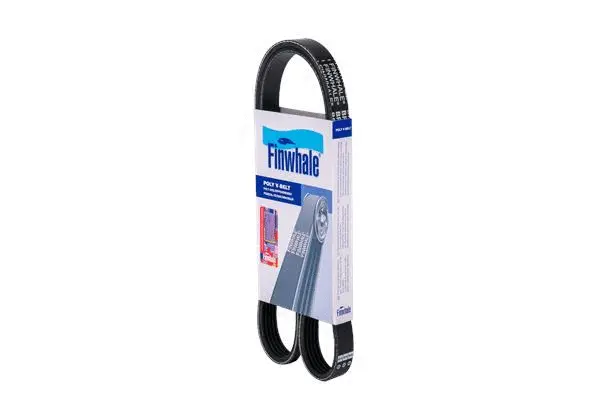 V-Ribbed Belt (BP5PK1113)