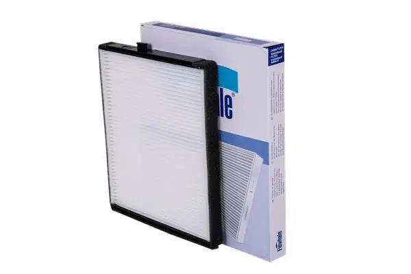Filter, cabin air (AS606)