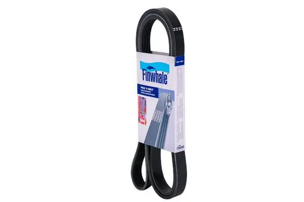 V-Ribbed Belt (BP6PK955)