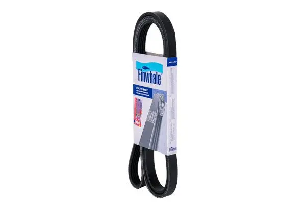 V-Ribbed Belt (BP6PK975)