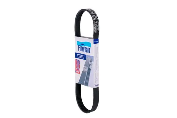 V-Ribbed Belt (BP638)