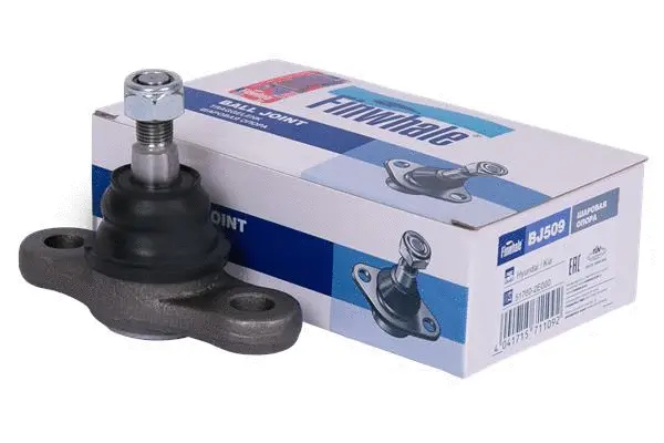 Ball Joint (BJ509)