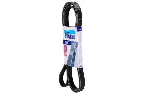 V-Ribbed Belt (BP4PK773)