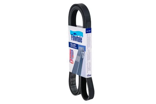 V-Ribbed Belt (BP6PK1893)