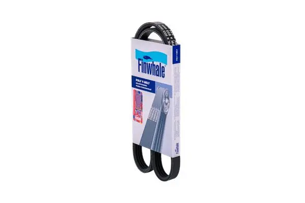 V-Ribbed Belt (BP4PK955)
