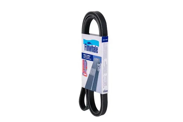 V-Ribbed Belt (BP5PK1815)