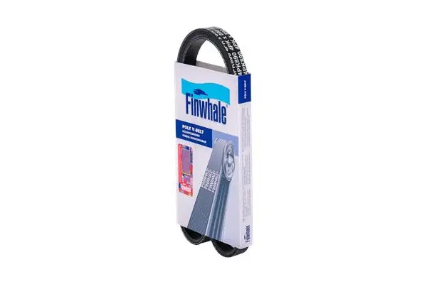 V-Ribbed Belt (BP4PK890)