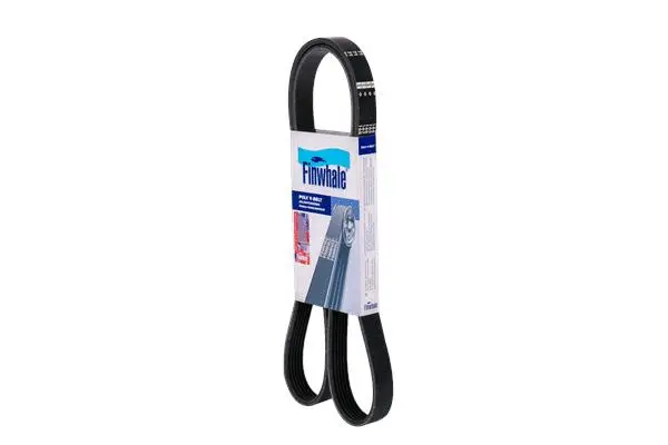 V-Ribbed Belt (BP6PK1438)