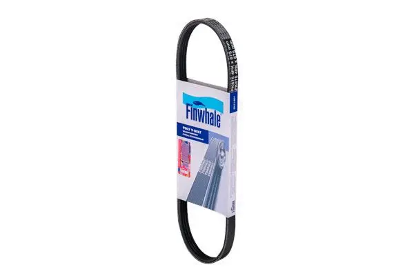 V-Ribbed Belt (BP4PK675)