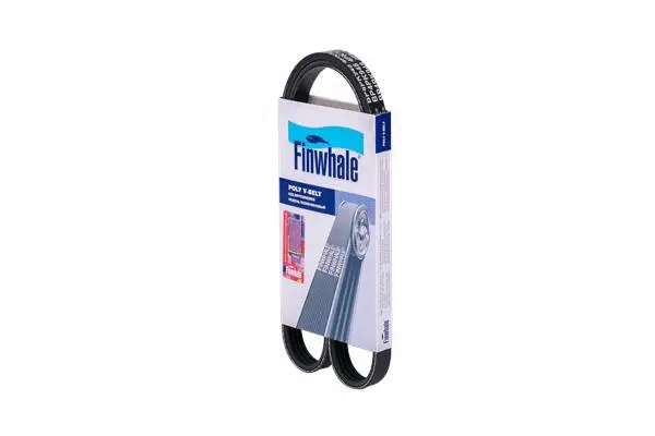 V-Ribbed Belt (BP4PK948)