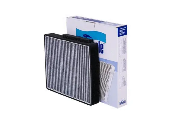 Filter, cabin air (AS434C)