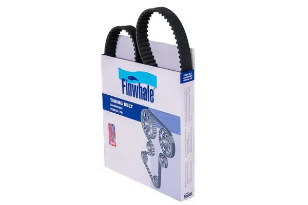Timing Belt (BD146x24)