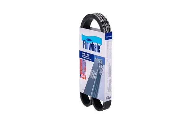 V-Ribbed Belt (BP6PK950)
