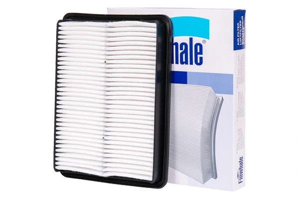 Air Filter (AF955)