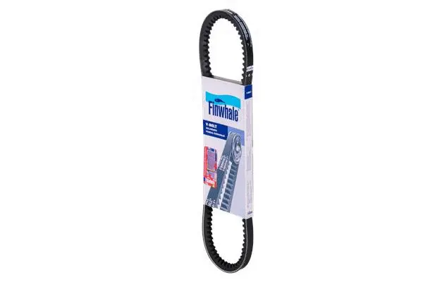 V-Belt (BV10x666)