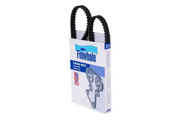 Timing Belt (BD94x19)